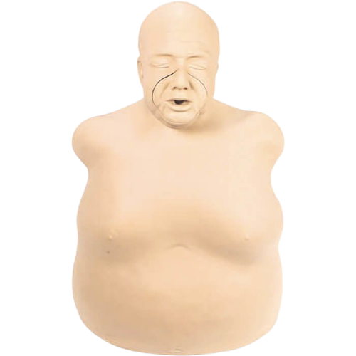 Life Form - Fat Old Fred