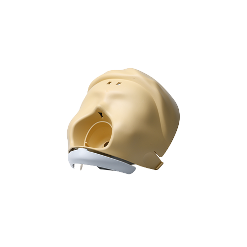 Laerdal Anterior skull & jaw for Little Anne Gen2 light skin tone